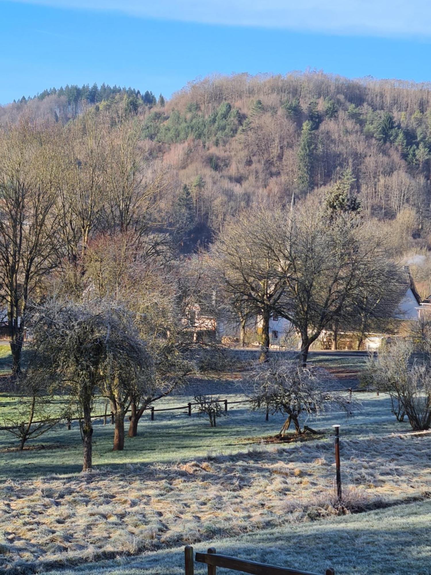 Ferienwohnung Burgblick Pelm Exteriör bild